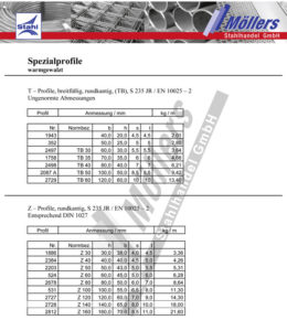 Spezialprofile T-Profile